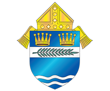 棕榈滩教区