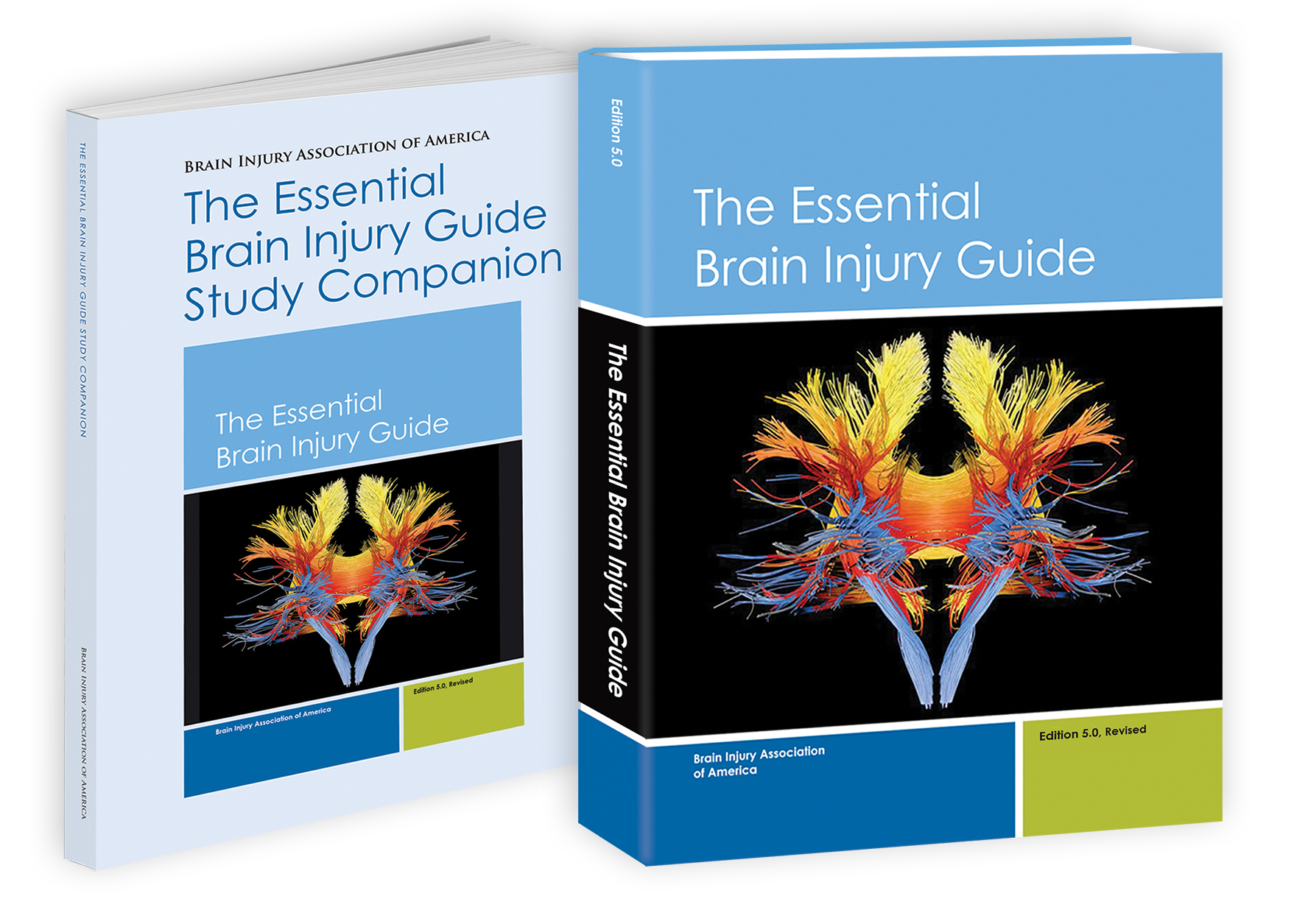 Essential Brain Injury Guide Study Companion Set