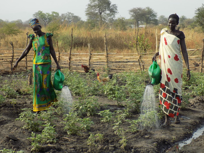 South Sudanese refugees