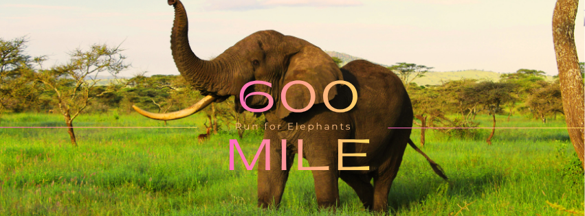 600 Mile Run for Elephants