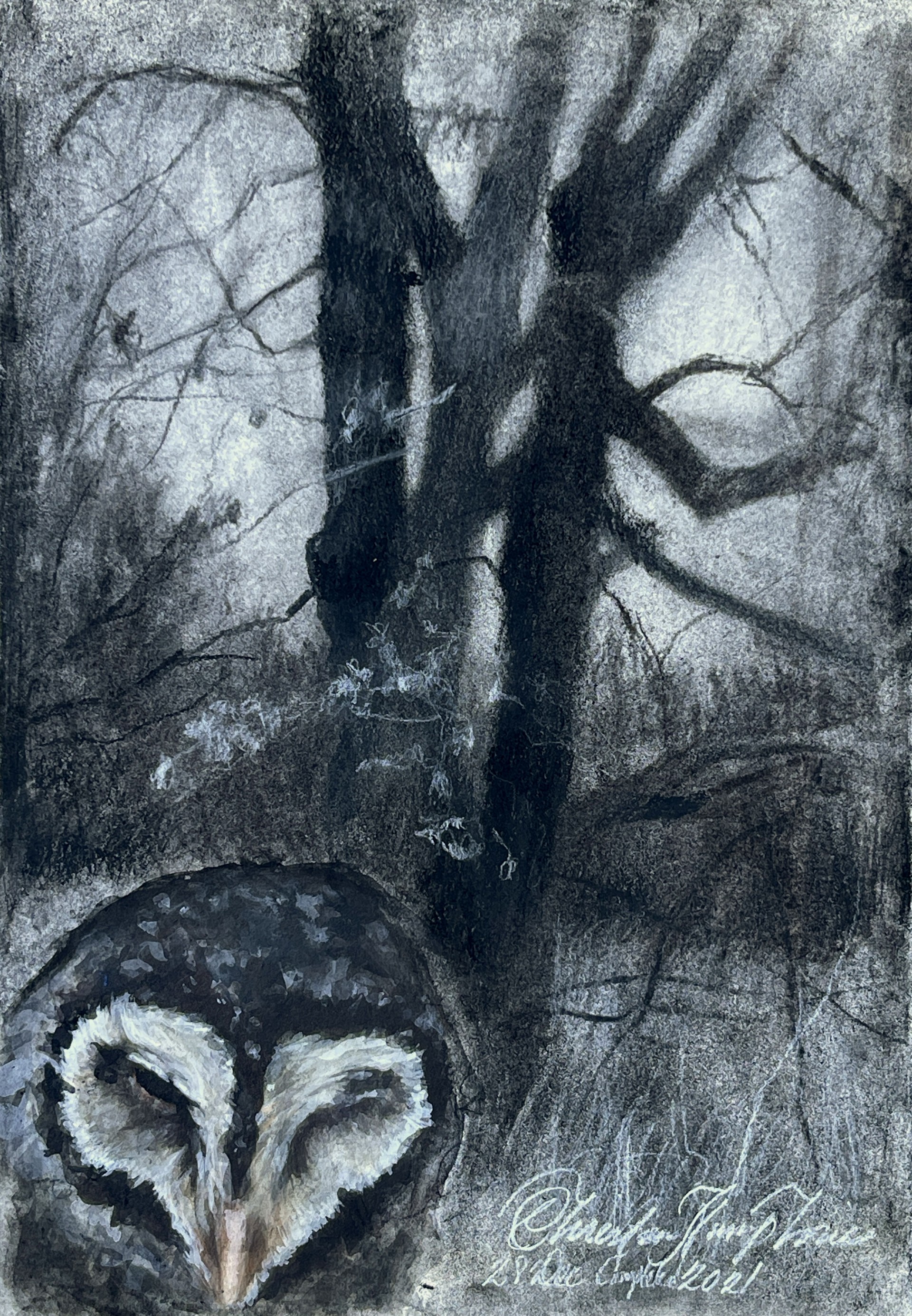 Image description here.