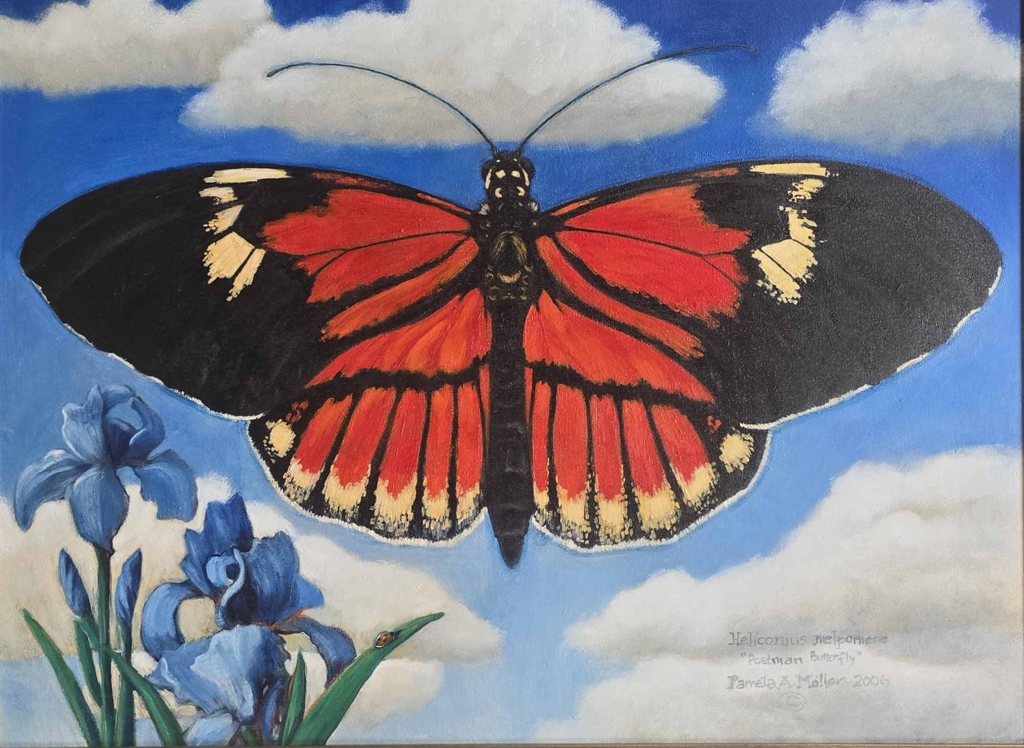 Image description here.