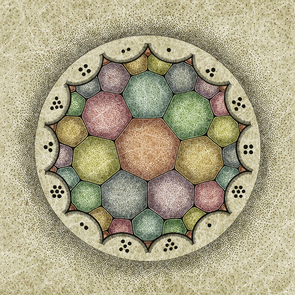 Image description here.