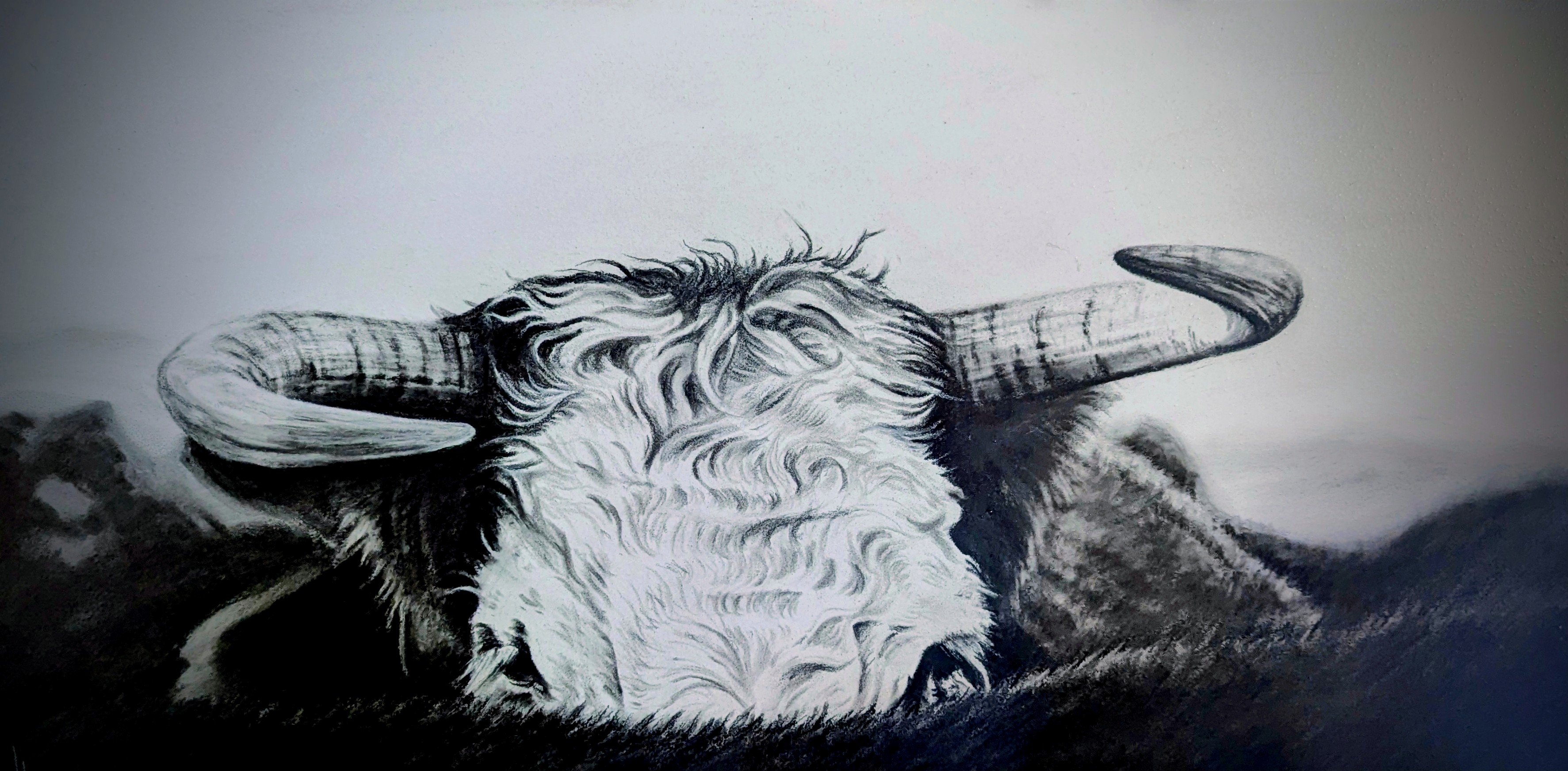 Image description here.