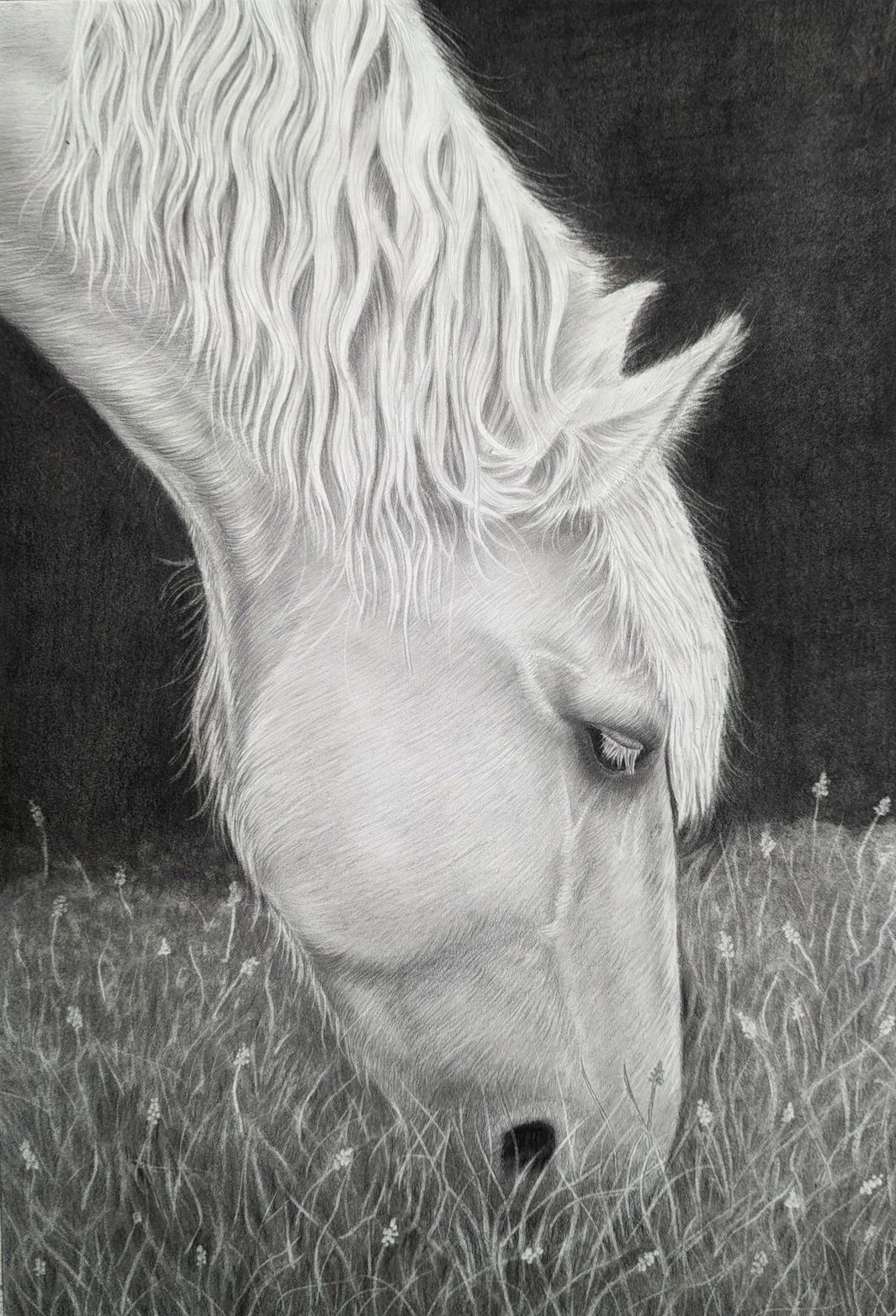 Image description here.