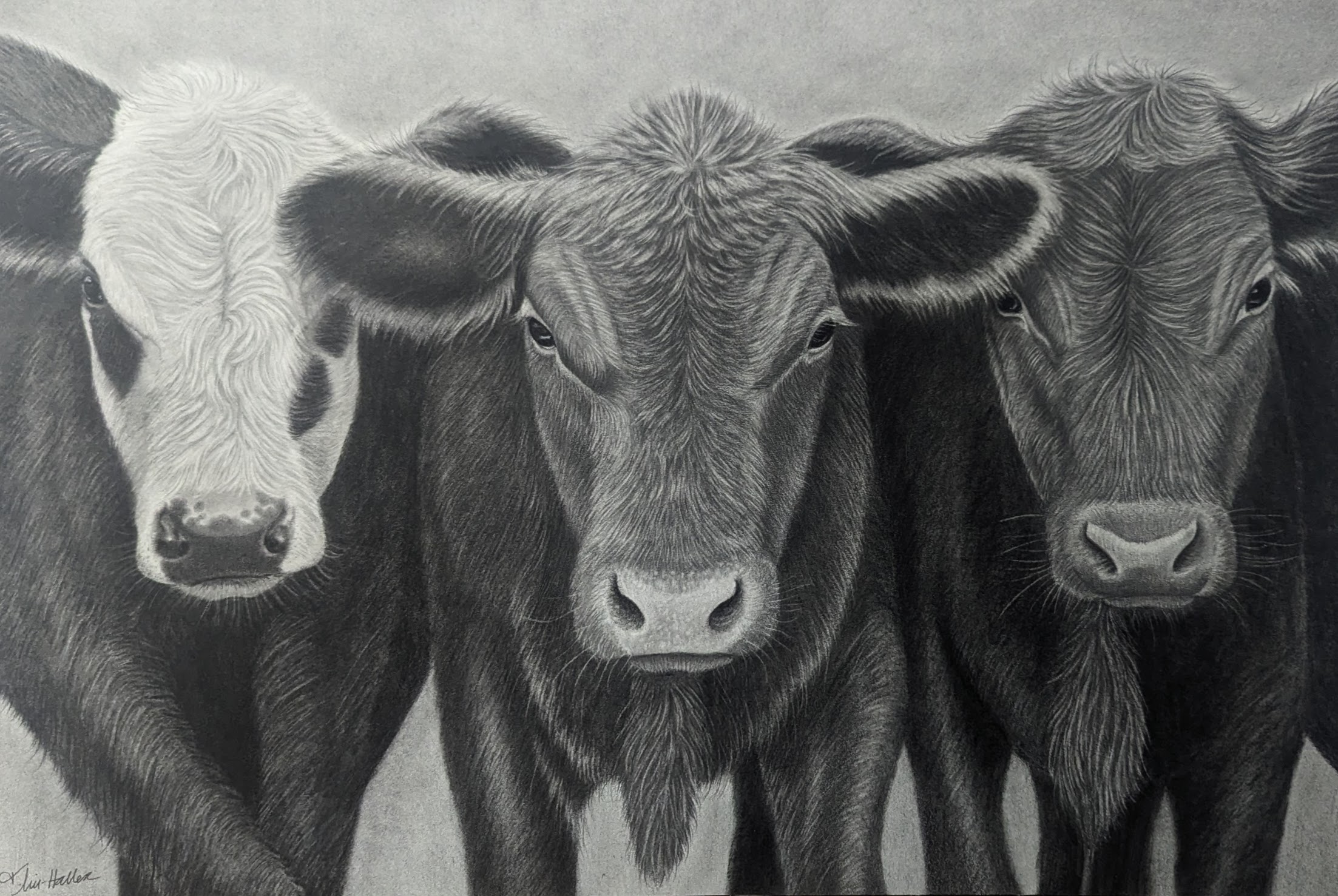 Image description here.