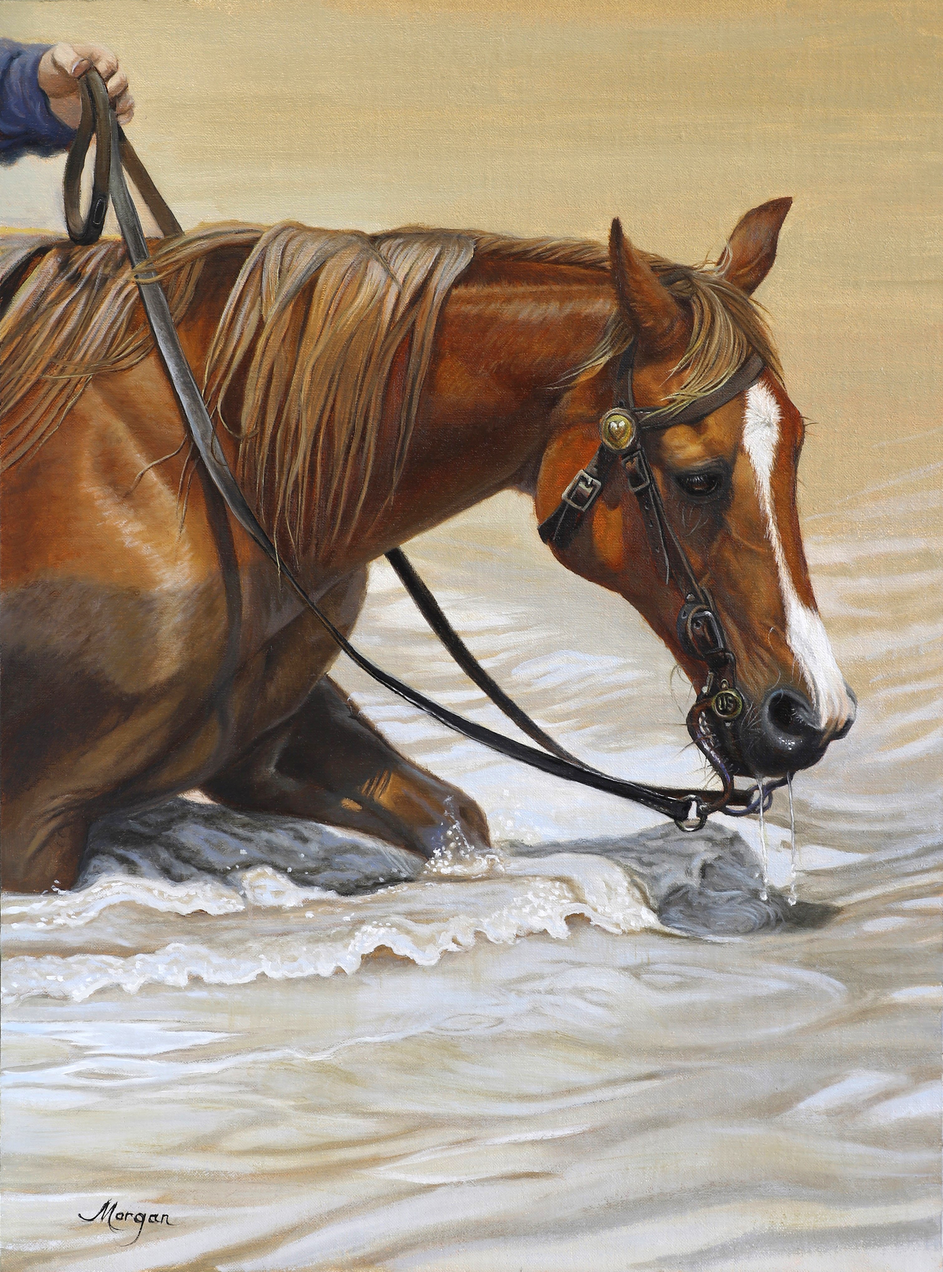 Image description here.