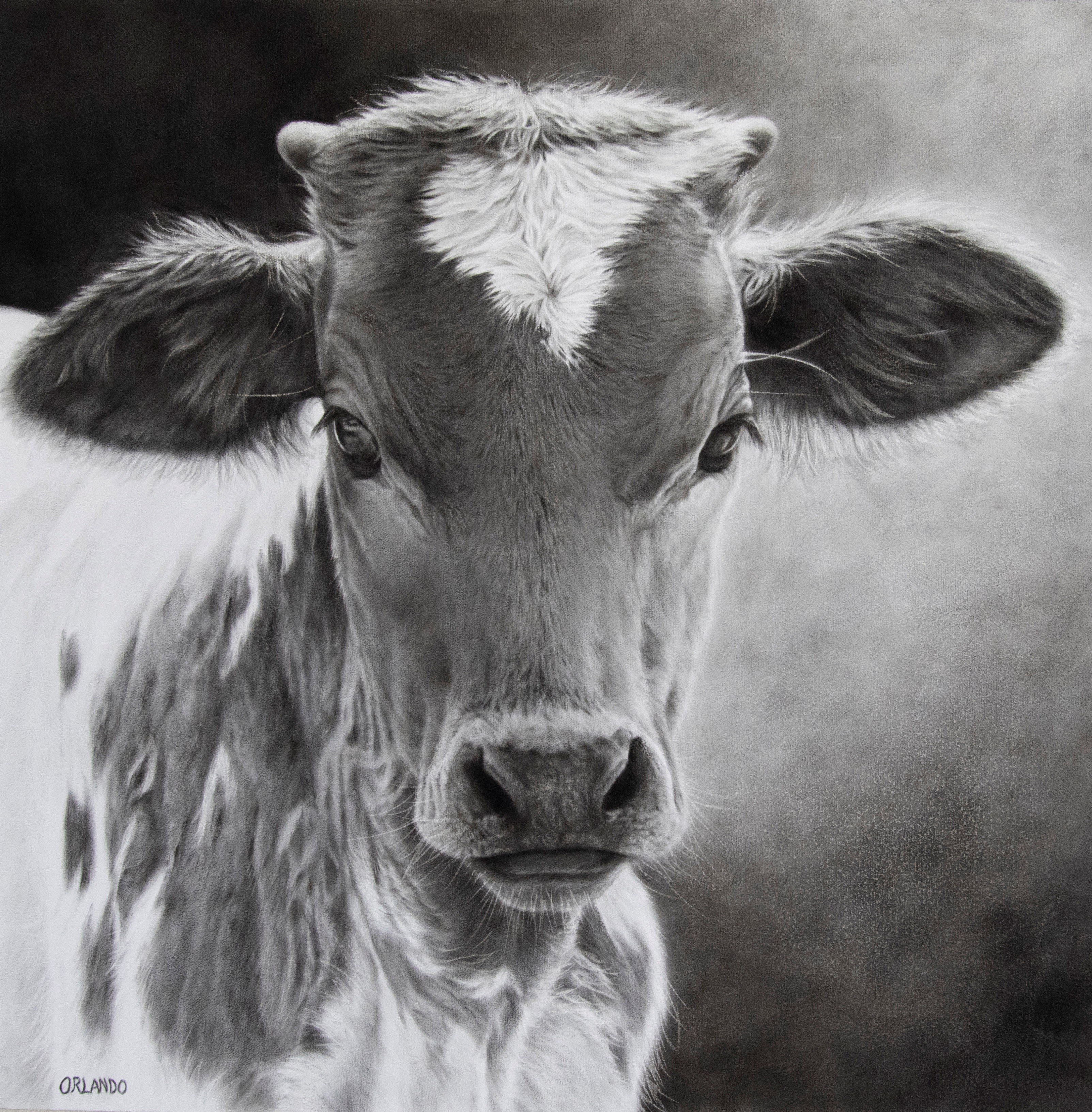 Image description here.