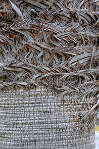 Image description here.