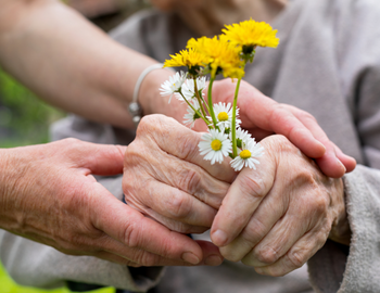 A pair of hands hold an elder person who is holding white and yellow flowers