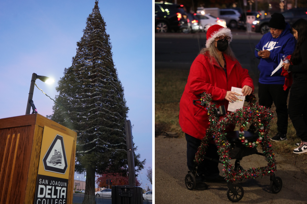 Stockton Tree of Lights