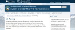 Website preview