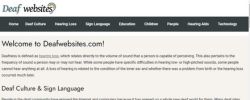 Website preview
