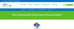 Website preview