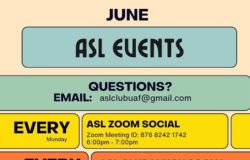 Event flyer preview