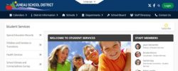 Website preview