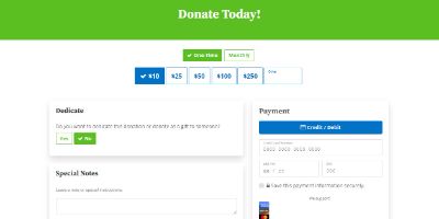 A preview of the landing page where people can make a donation to Hope.