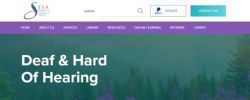 Website preview