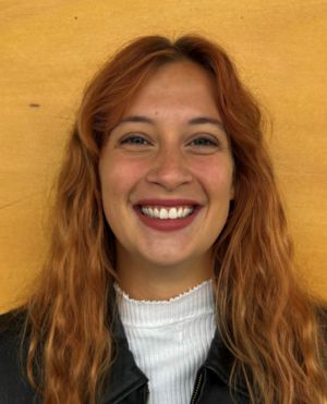 Brigit Barstad, Director