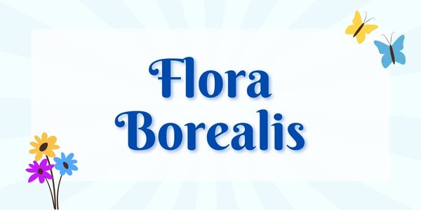 Image description here.