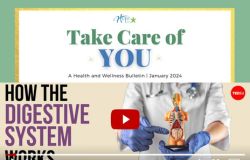 Preview of Wellness Bulletin