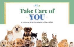Preview of Wellness Bulletin