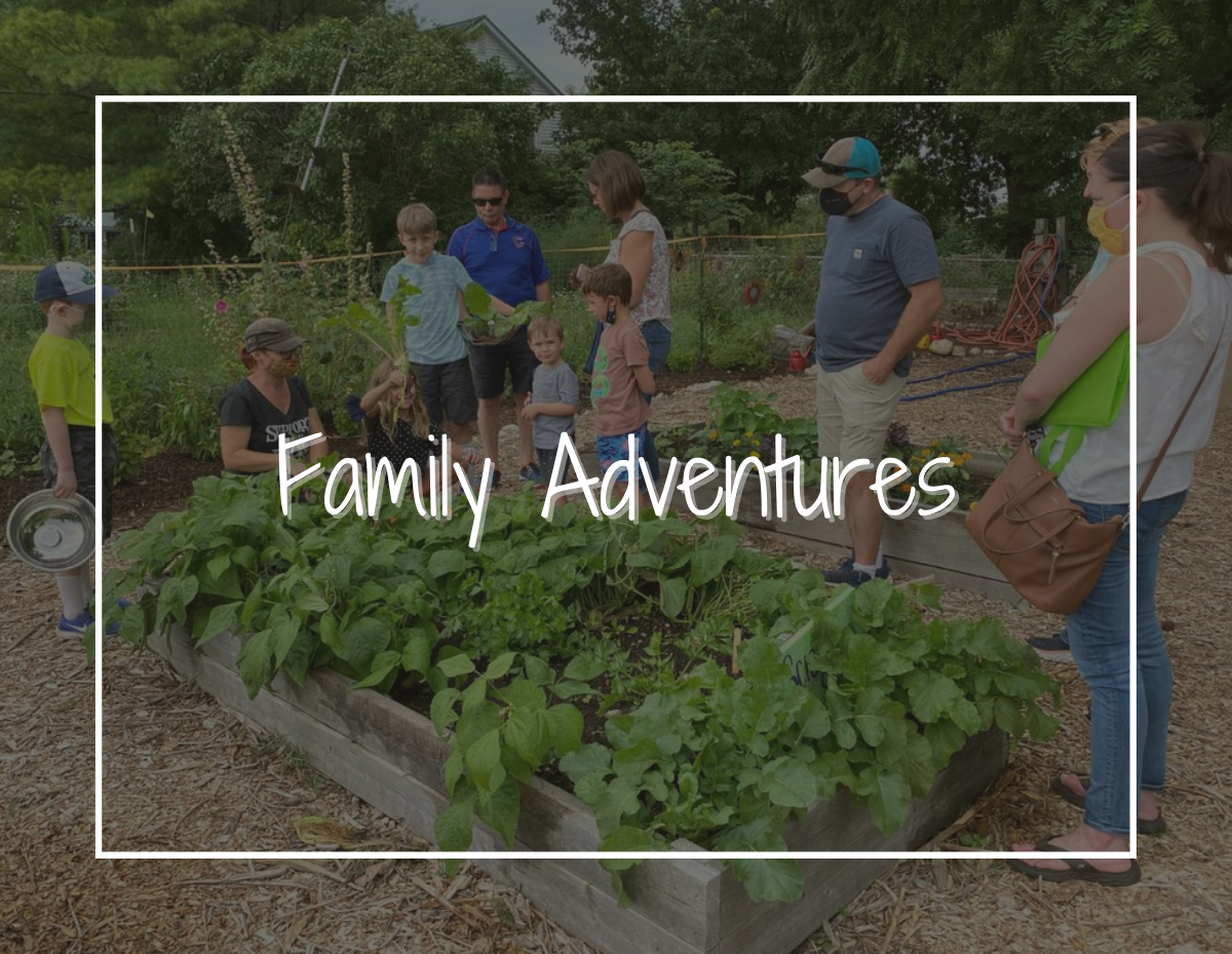 family adventure banner