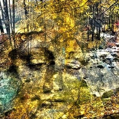 Winter Solstice Spring Equinox 2016 Journey Treesisters