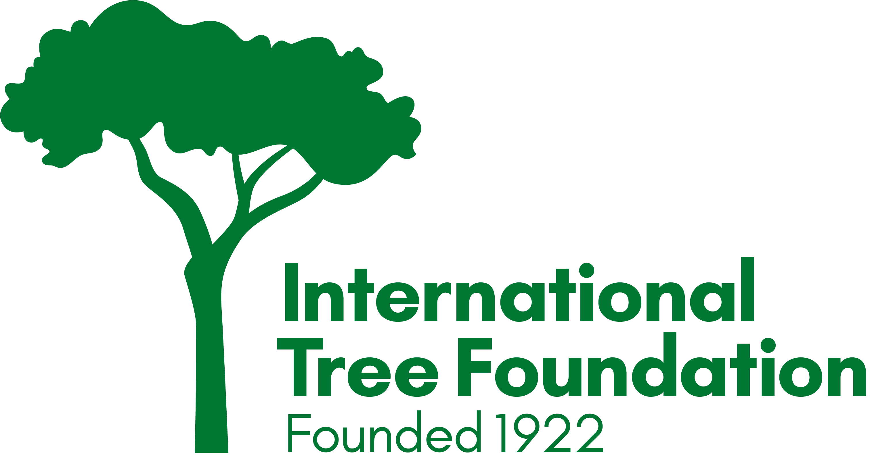 Tree International