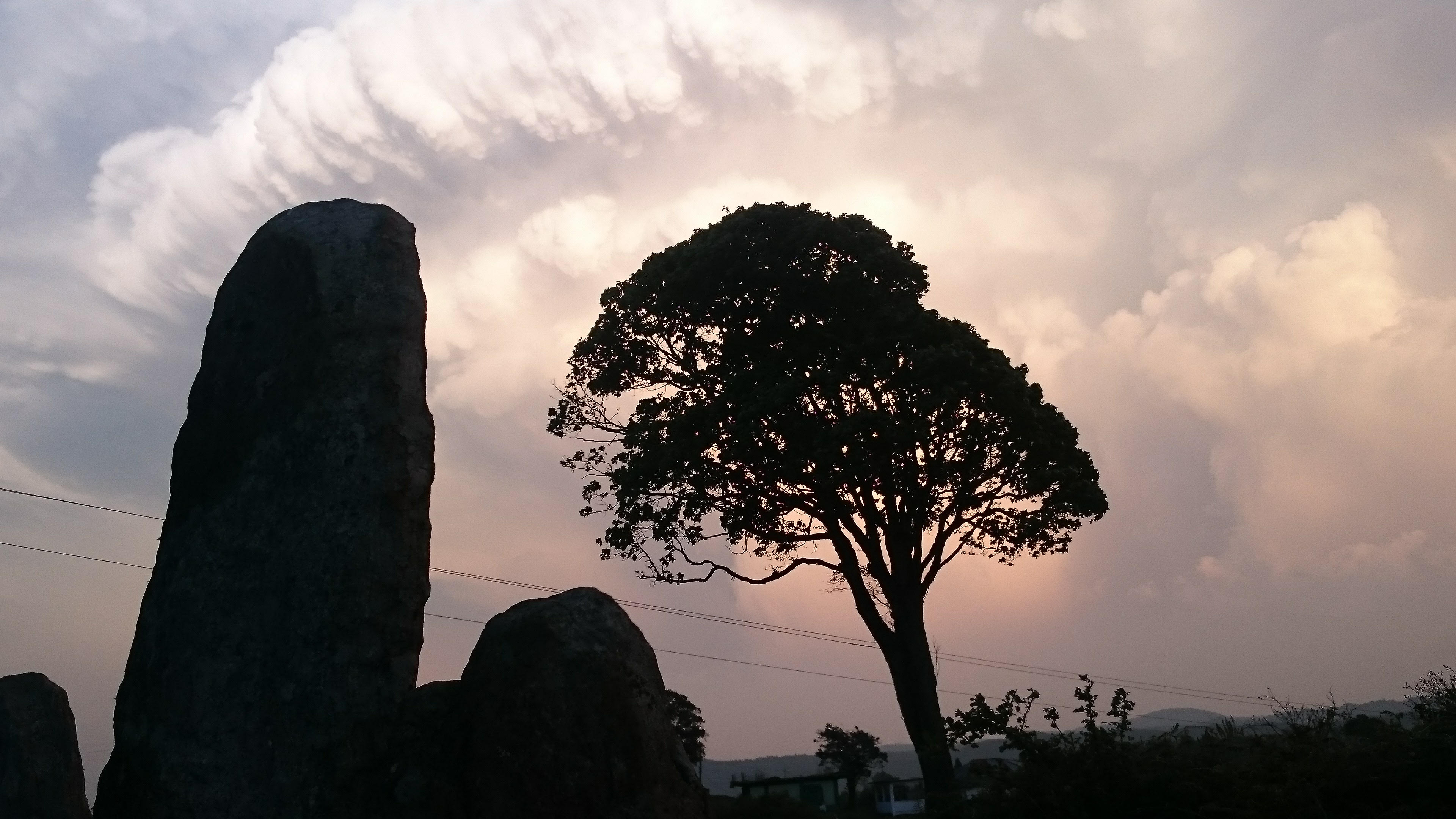 Khasi Hills India Restoring Khasi Hills Forest Treesisters