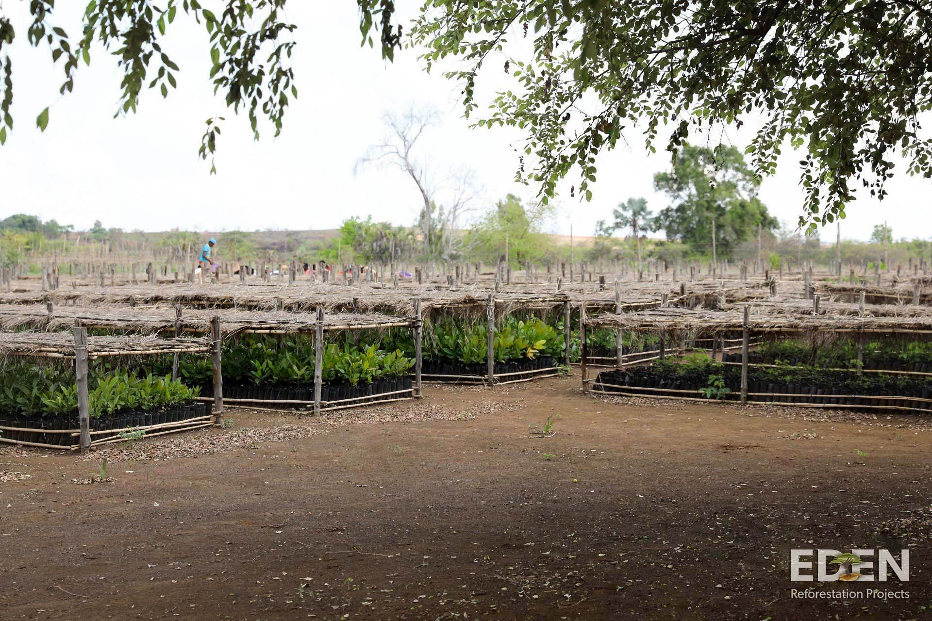Nepal Nursery