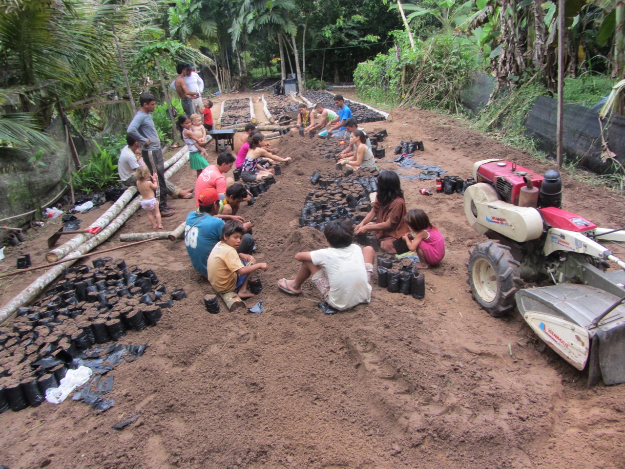 New Project In Brazilian Amazonia Treesisters