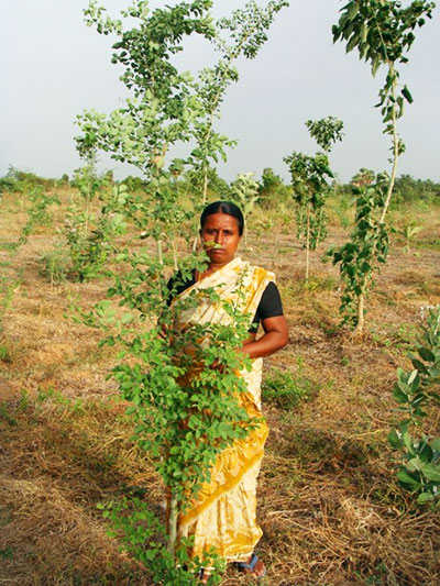 ProjectGreenHands-Woman-with-Tree