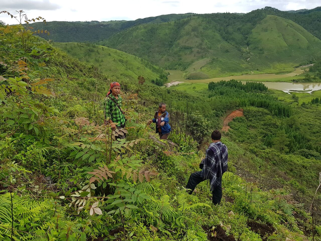 Khasi Hills India Restoring Khasi Hills — TreeSisters