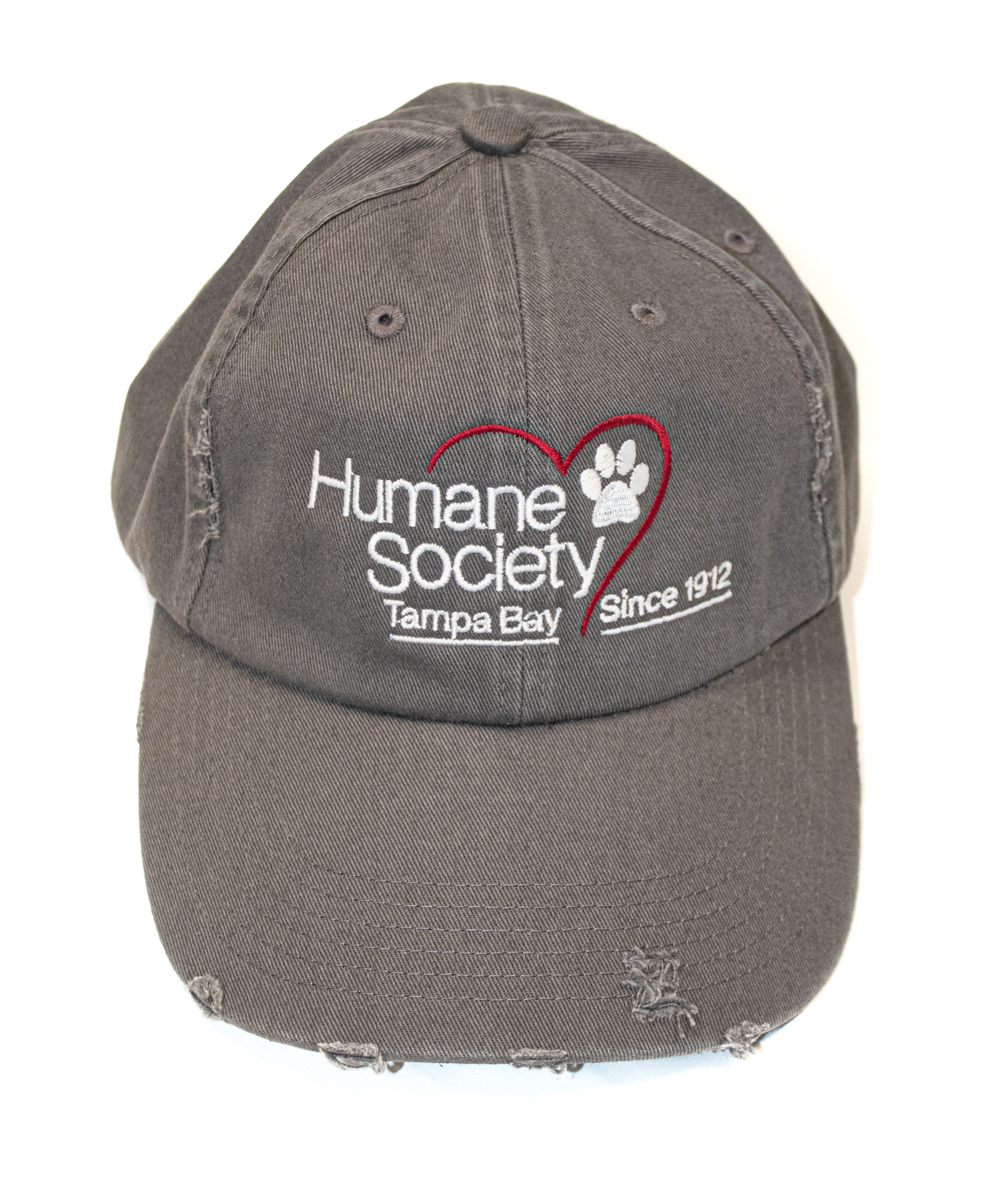 Uncategorized Archives - Humane Society of Tampa Bay