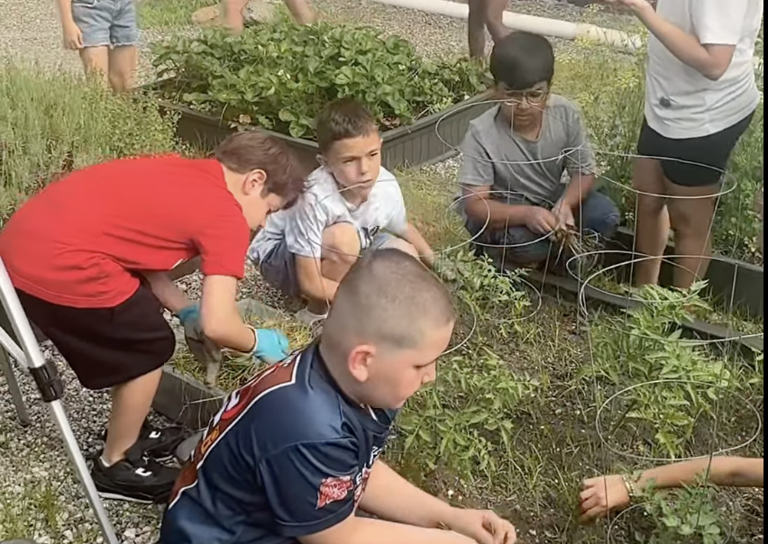 Taylor Mills Learning Garden