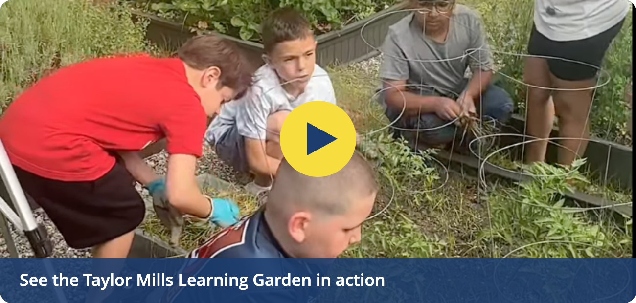 See the Taylor Mills Learning Garden in action