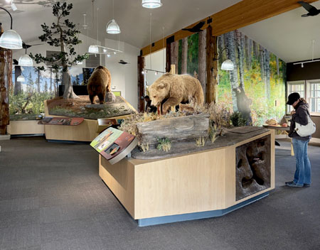 yellowstone-ecosystem-museum