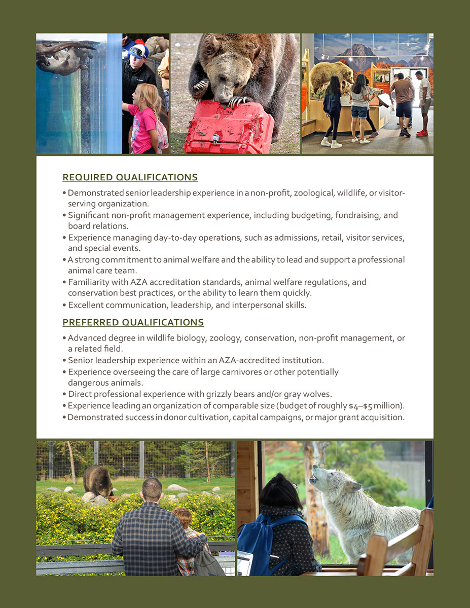 Director's Position Description