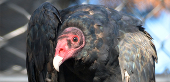 Image description here.