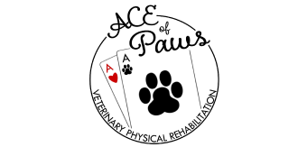 Ace of Paws Vendor Logo Doggie Dash & Dawdle 2020