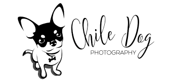 Chile Dog Photography Vendor Logo Doggie Dash & Dawdle 2020