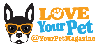 Your Pet Magazine Logo Doggie Dash & Dawdle 2020