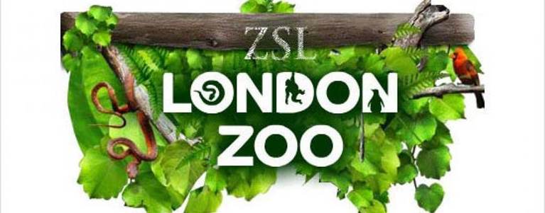 ZSL