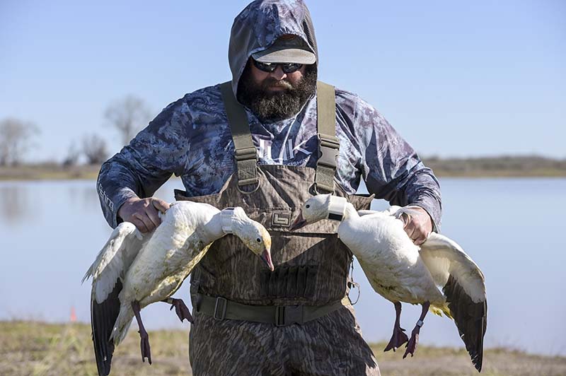 CWA Waterfowl Biologist Brian Huber holds two snow geese just fitted with GPS collars