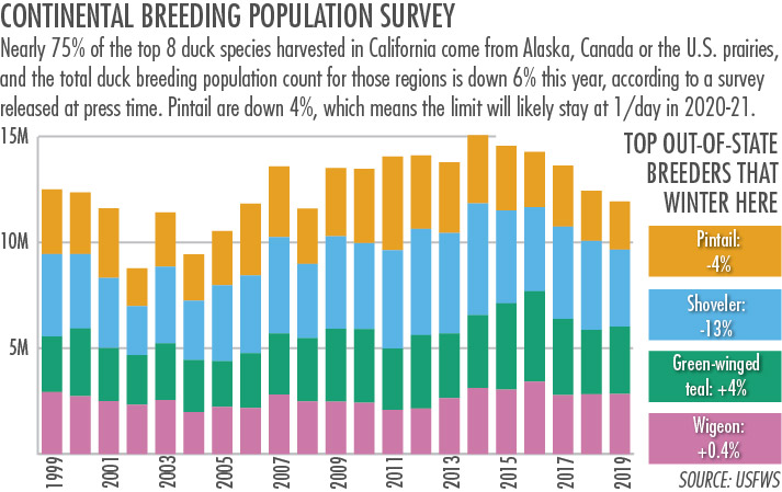 Duck population healthy in North Dakota, but long-term trend a concern