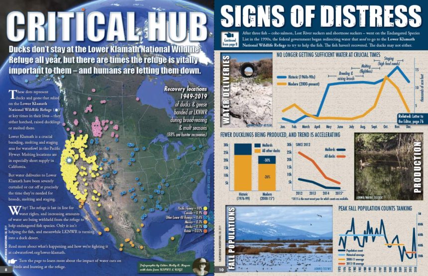 Image of magazine infographic