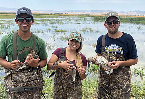 Grassland Banding 2018