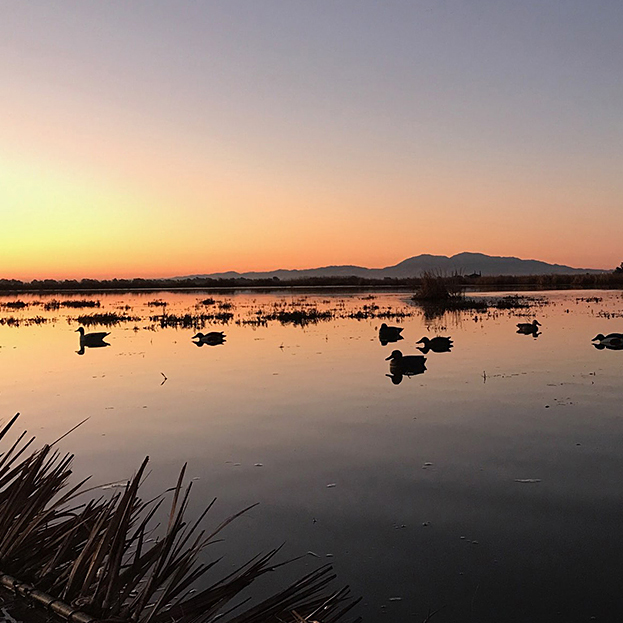 F&G Commission Seeks Input From DFW on Benicia Waterfowl Hunting Ban Petition