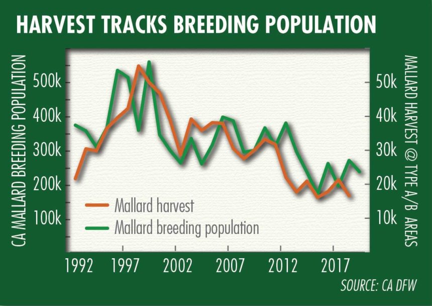 Graph shows correlation between the size of California's mallard breeding population and the annual harvest.